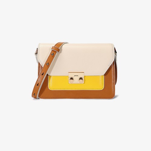 Crossbody bag, high-end one-shoulder organ bag, niche light luxury Crossbody bag, high-end one-shoulder organ bag, niche light luxury