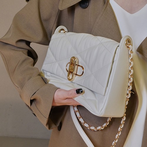louis vuitton trunk bag