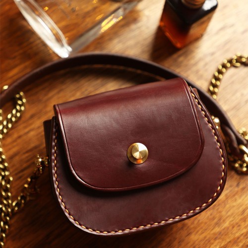 coach crossbody camera bag