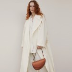 Chestnut bag Women's leather crossbody shoulder bag