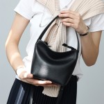 Versatile Tote Mini Small Handheld Soft Bag Crossbody Bag