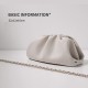 Chain crossbody pleated women's pouch niche designer model Chain crossbody pleated women's pouch niche designer model