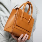 Mini crossbody tote bag