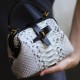 Snakeskin mini doctor bag Snakeskin mini doctor bag