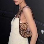  Handbag, leopard print women's bag, hand-held bag, single shoulder women's bag